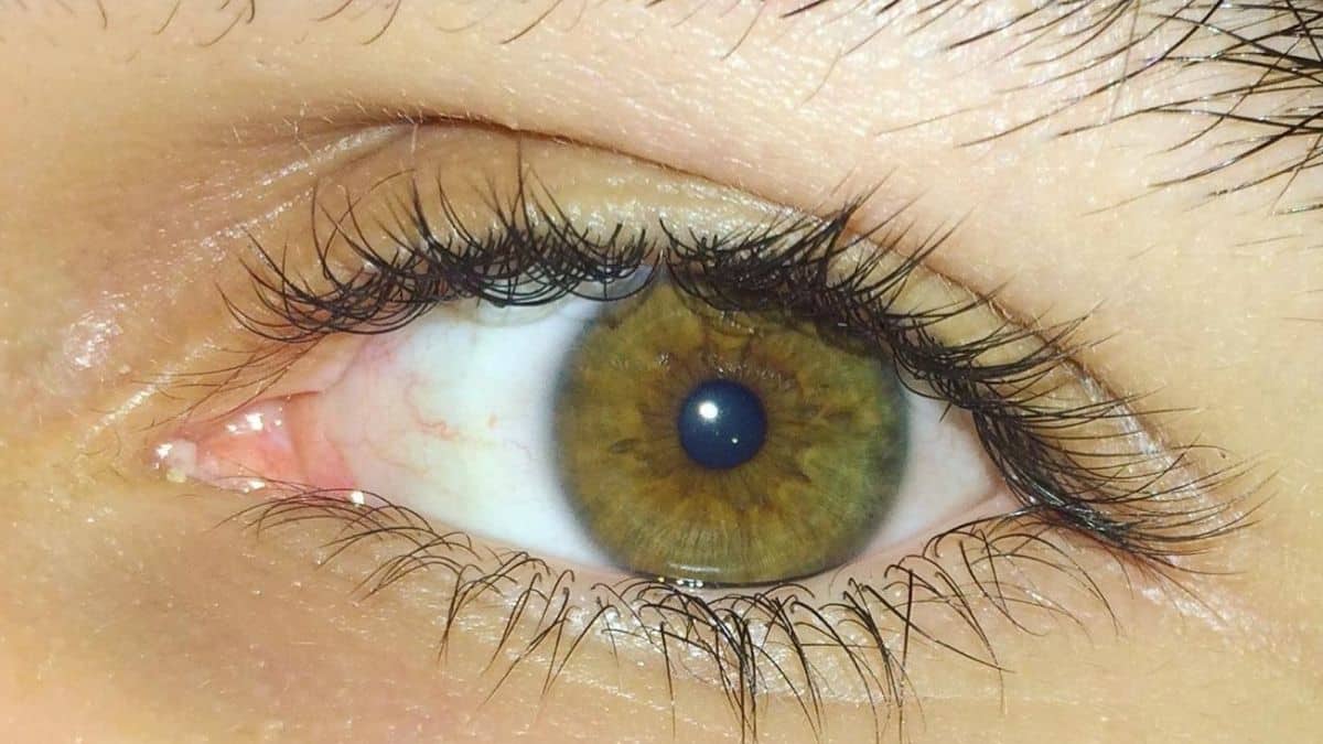 How Rare Are Hazel Eyes?