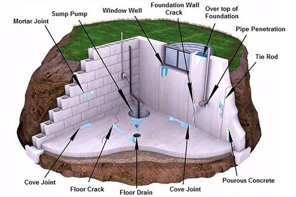 How Much Does Bdry Cost?