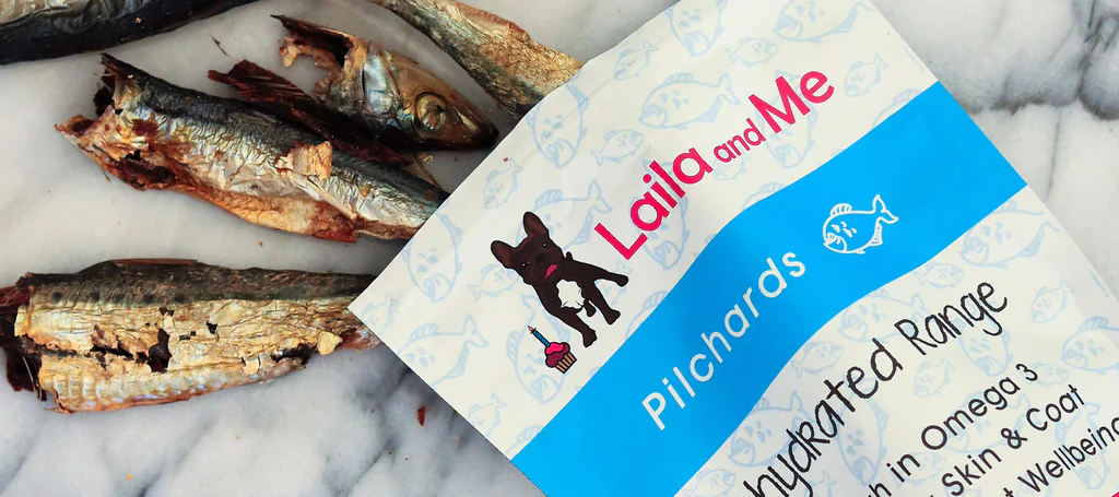 Are Pilchards Good for Dogs?