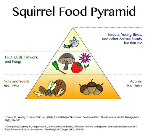 Do Squirrels Eat Raisins? A Comprehensive Guide